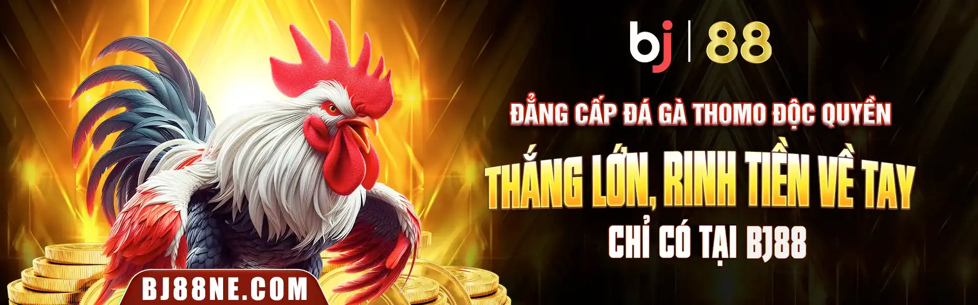 Banner Bj88